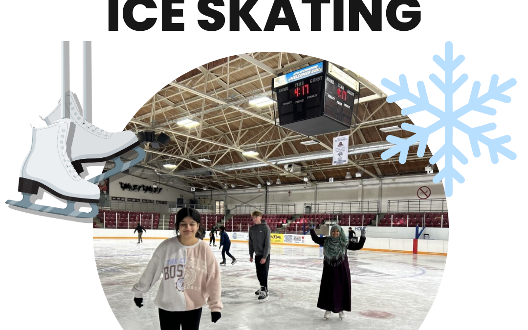 Newcomer Youth Ice Skating Program (15-30)